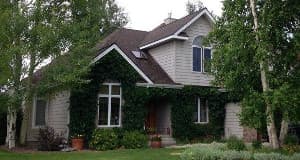 Asphalt Roof Installation